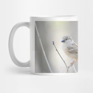 Sparrow Mug